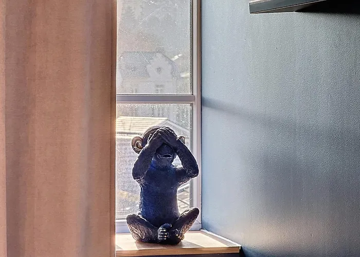 Appartement Le De Vallieres 3 Pieces Netflix